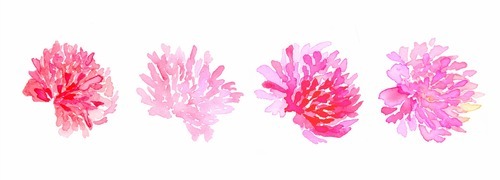 tumblr_static_634xvtcbatwcksg08ccsk0ksc_640_v2